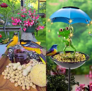 💥Solar-Powered LED Animal Umbrella Light with Bird Feeder(Frog/Bee/Flamingo)
