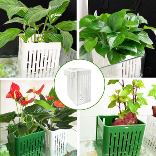 1+1 FREE |  Innovative Hydroponic Design