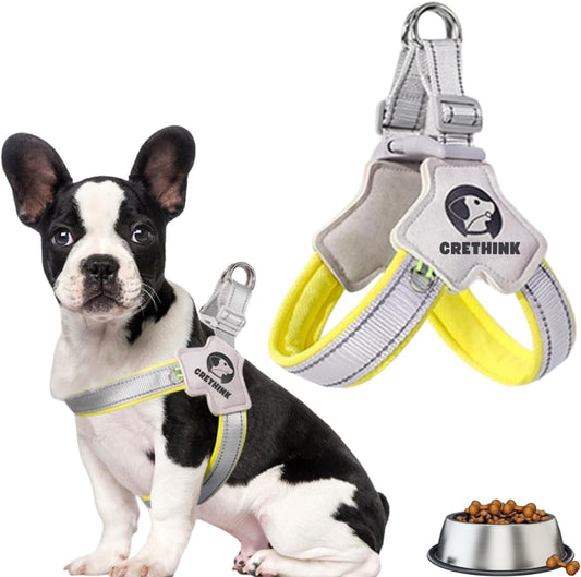 Mesh Fabric Reflective Dog Vest-Buy and get a free rope