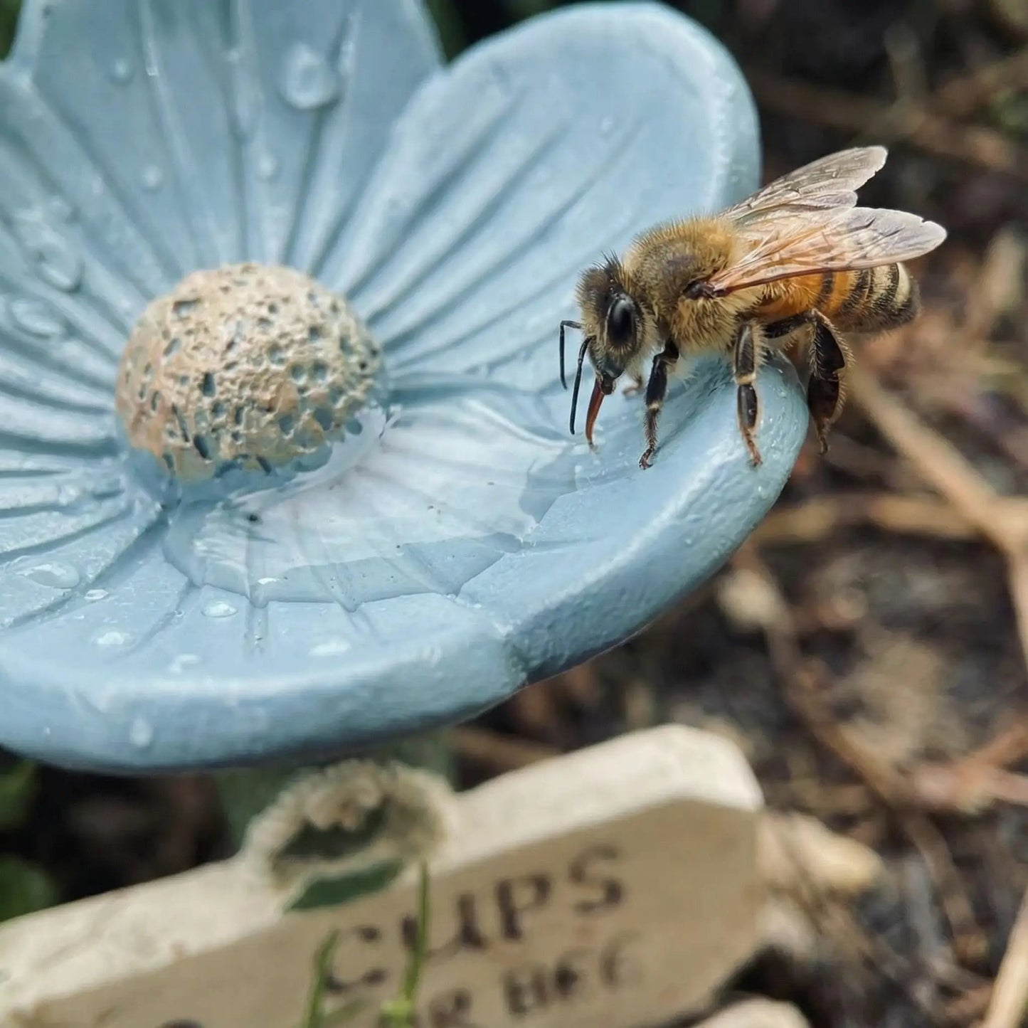Flower-Shaped Bee Watering Station