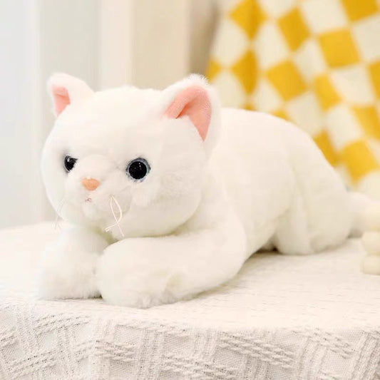 Plush white cat
