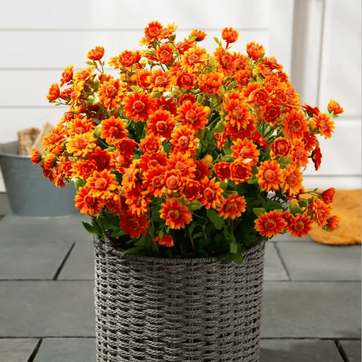 💥 Artificial Outdoor Sunset Mums Flowers - UV resistant, Waterproof, Windproof