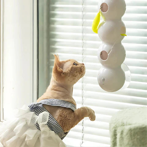 Ignite Your Cat's Wild Instincts for Endless Energy and Fun